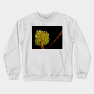 Fresh Banksia Crewneck Sweatshirt